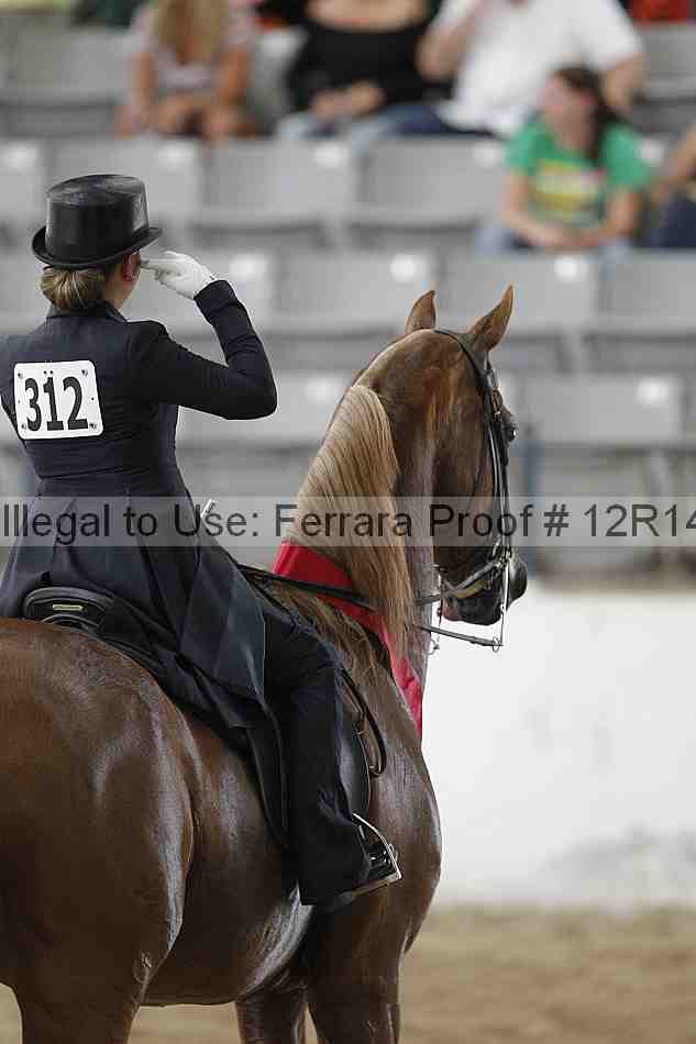 Proof Number 12r14_1302