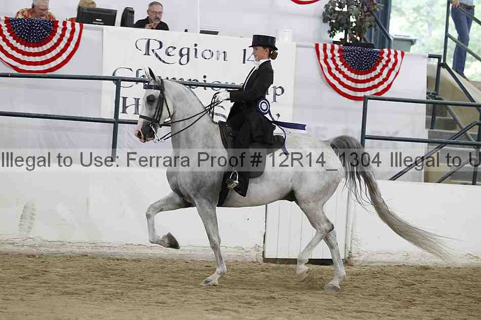 Proof Number 12r14_1304