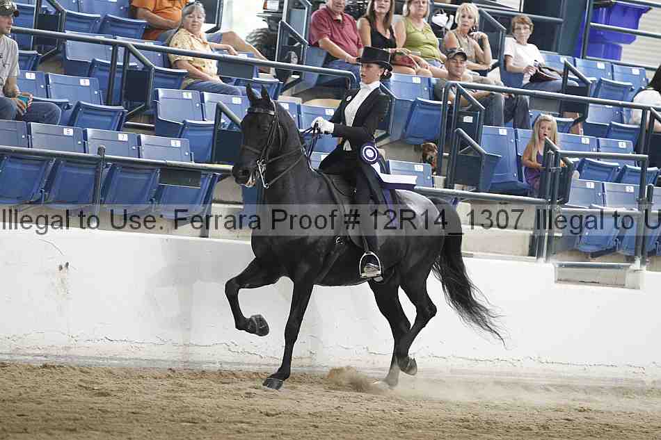 Proof Number 12r14_1307