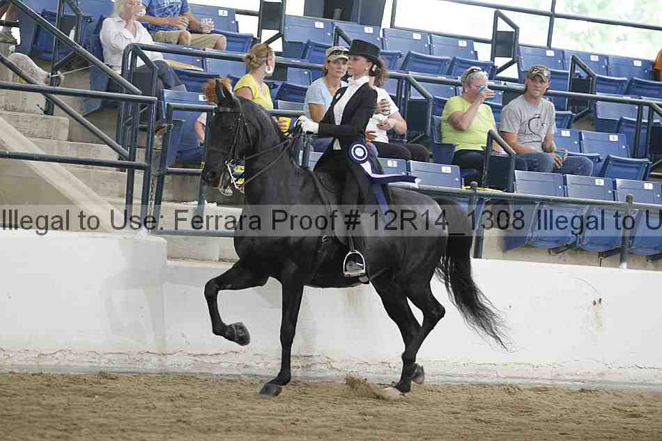 Proof Number 12r14_1308