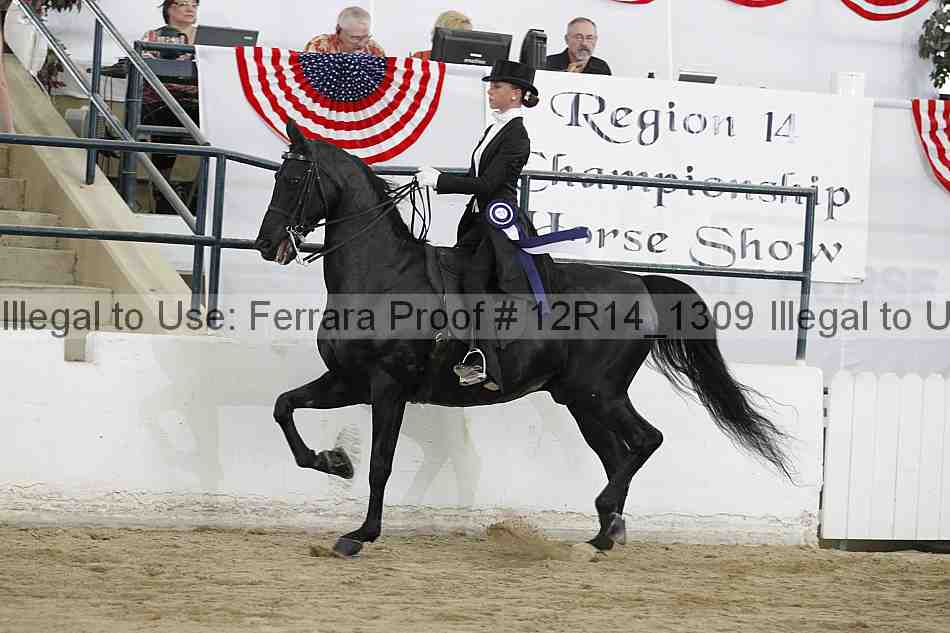 Proof Number 12r14_1309