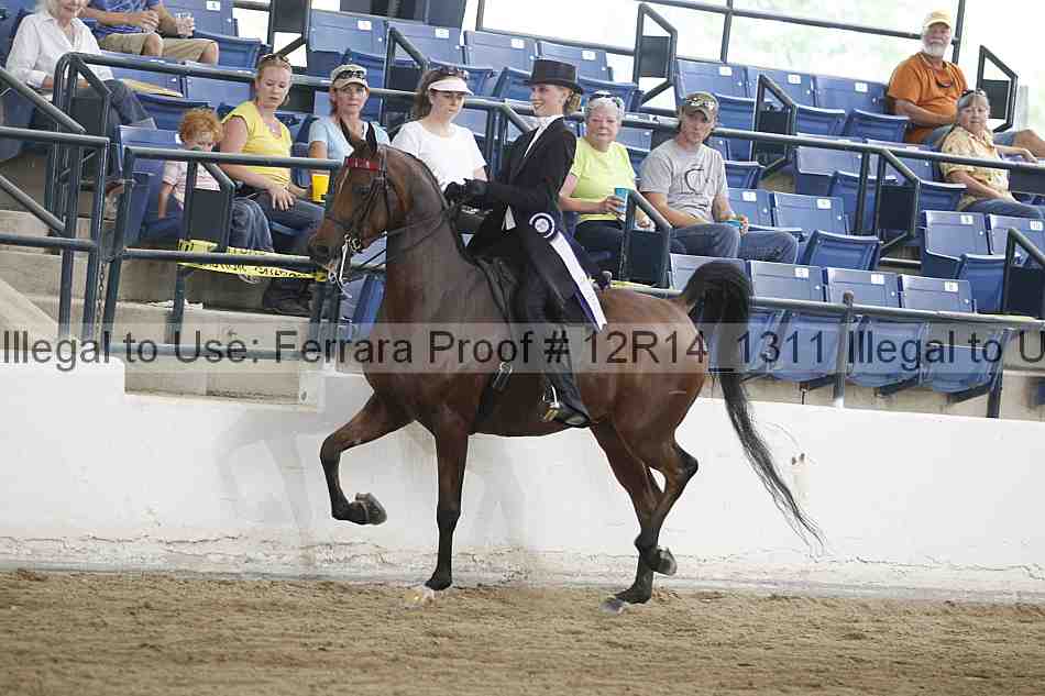 Proof Number 12r14_1311