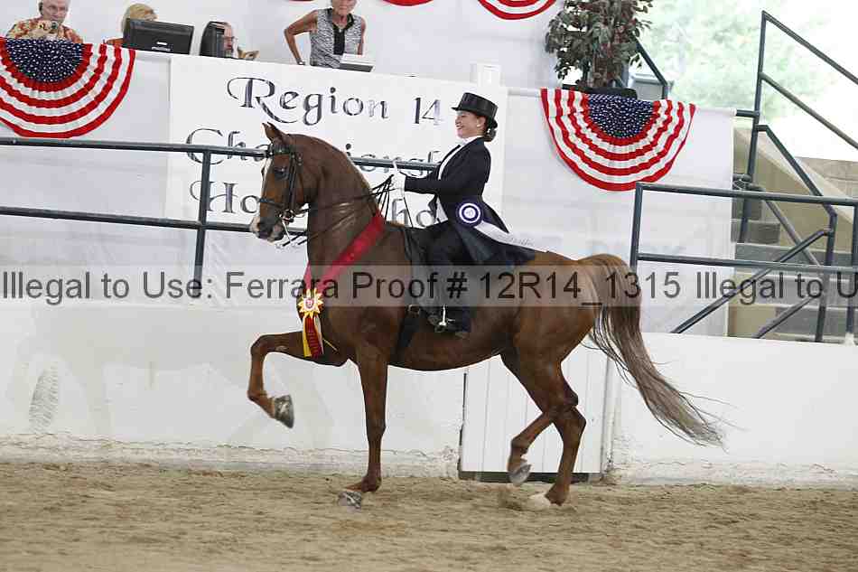 Proof Number 12r14_1315