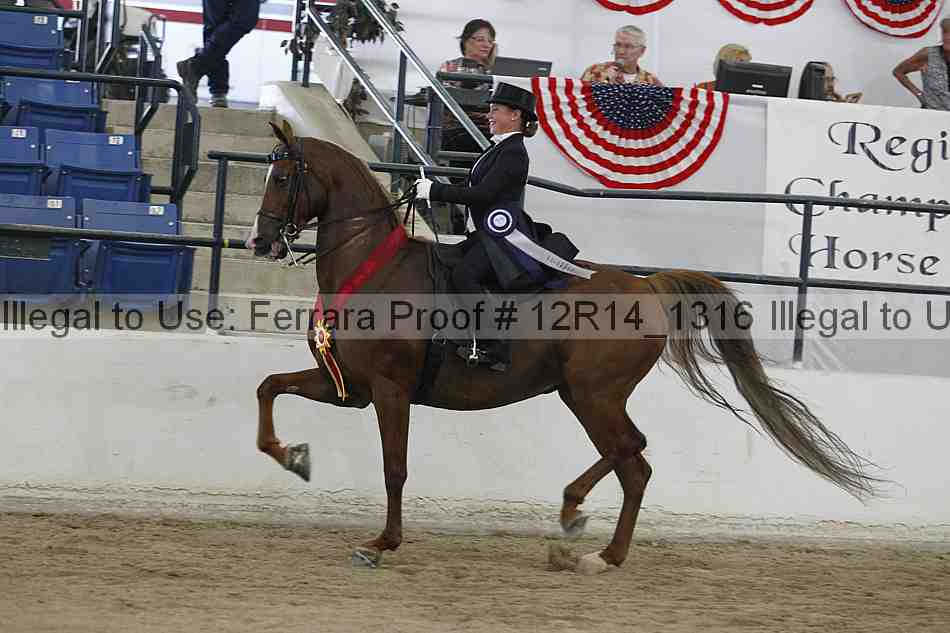 Proof Number 12r14_1316