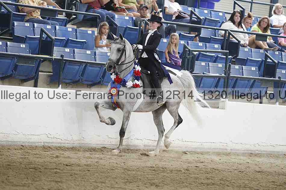 Proof Number 12r14_1320
