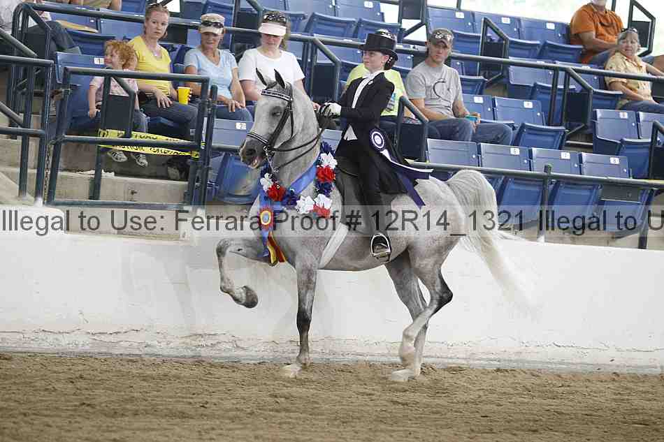 Proof Number 12r14_1321
