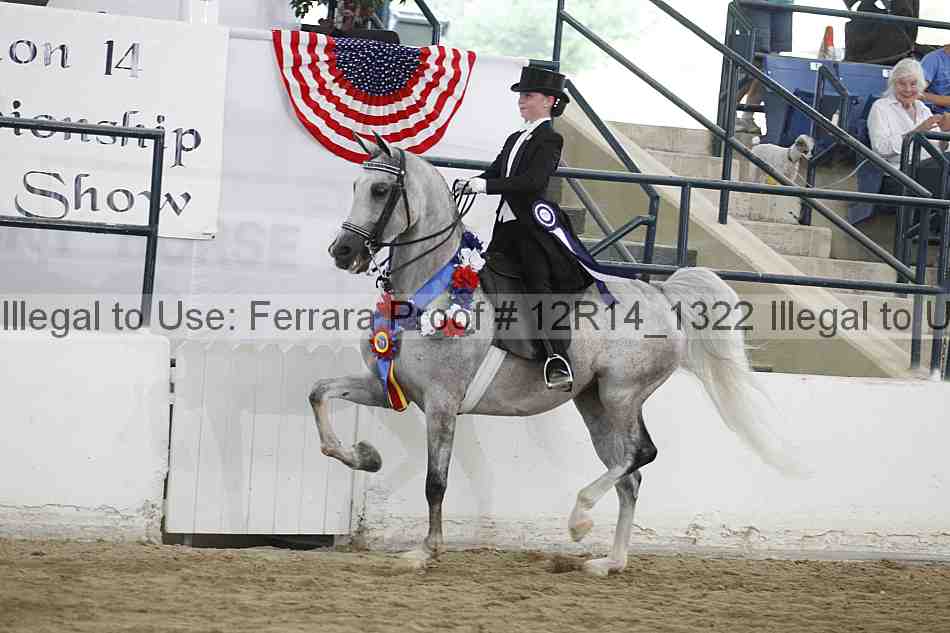 Proof Number 12r14_1322