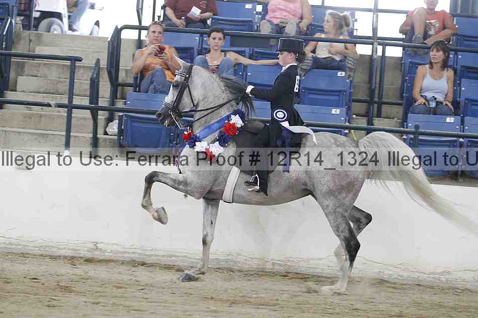 Proof Number 12r14_1324
