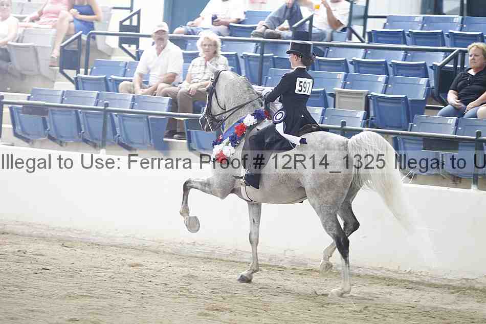Proof Number 12r14_1325