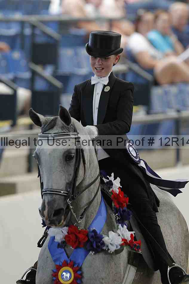 Proof Number 12r14_1333