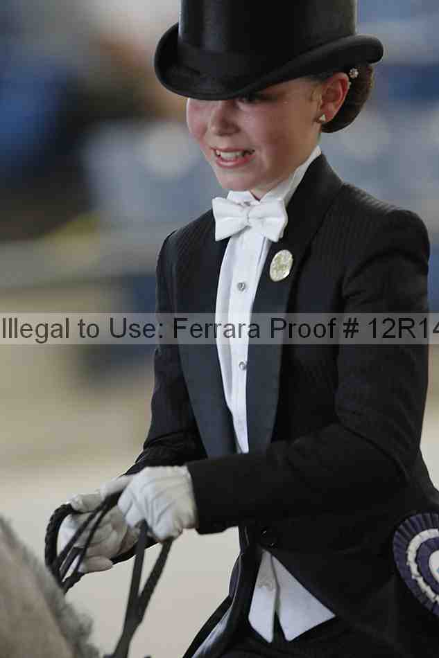 Proof Number 12r14_1334