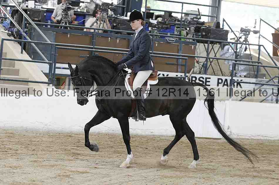Proof Number 12r14_1361