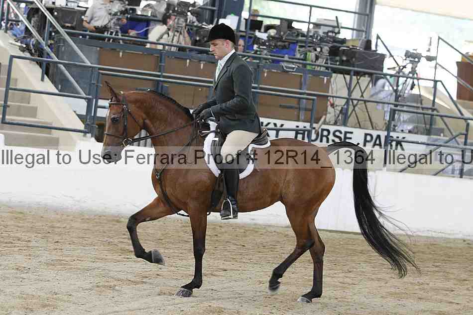 Proof Number 12r14_1364
