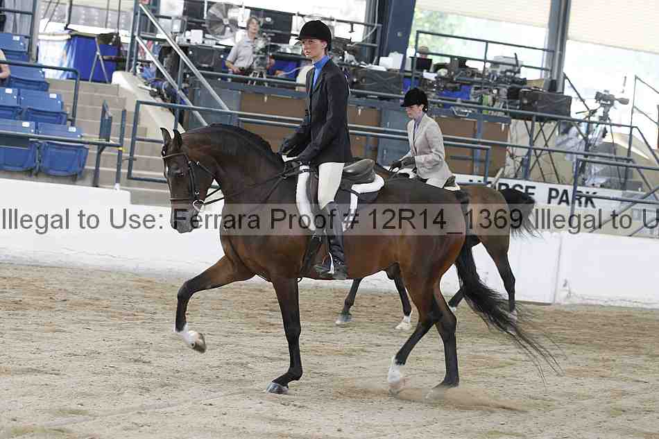 Proof Number 12r14_1369