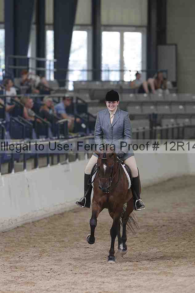 Proof Number 12r14_1383
