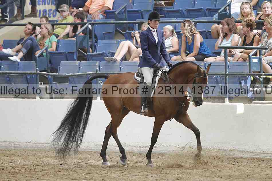 Proof Number 12r14_1387
