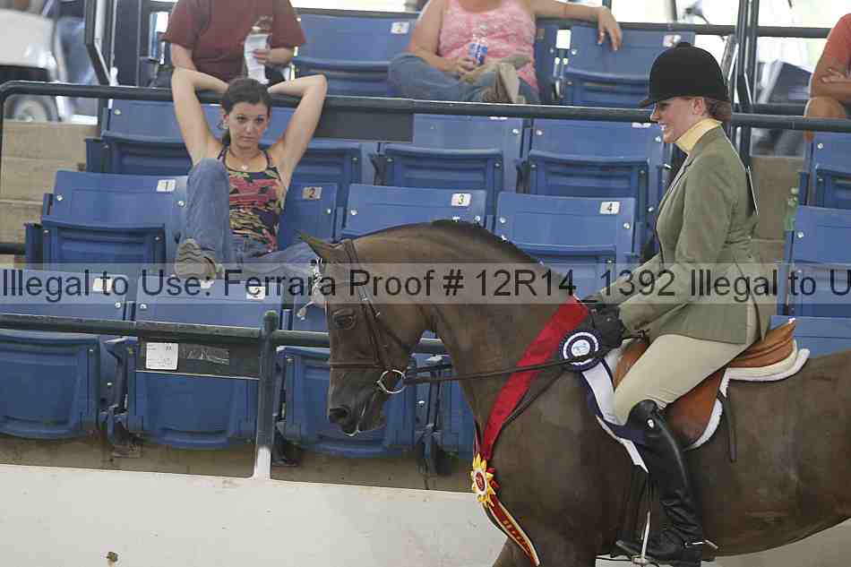 Proof Number 12r14_1392