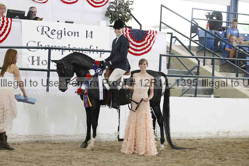 Proof Number 12r14_1395
