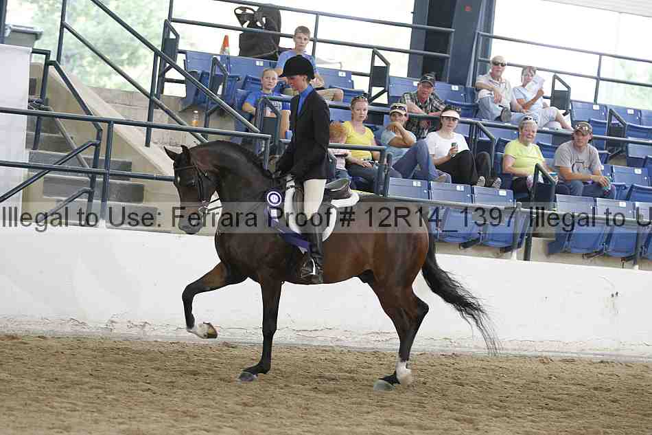 Proof Number 12r14_1397