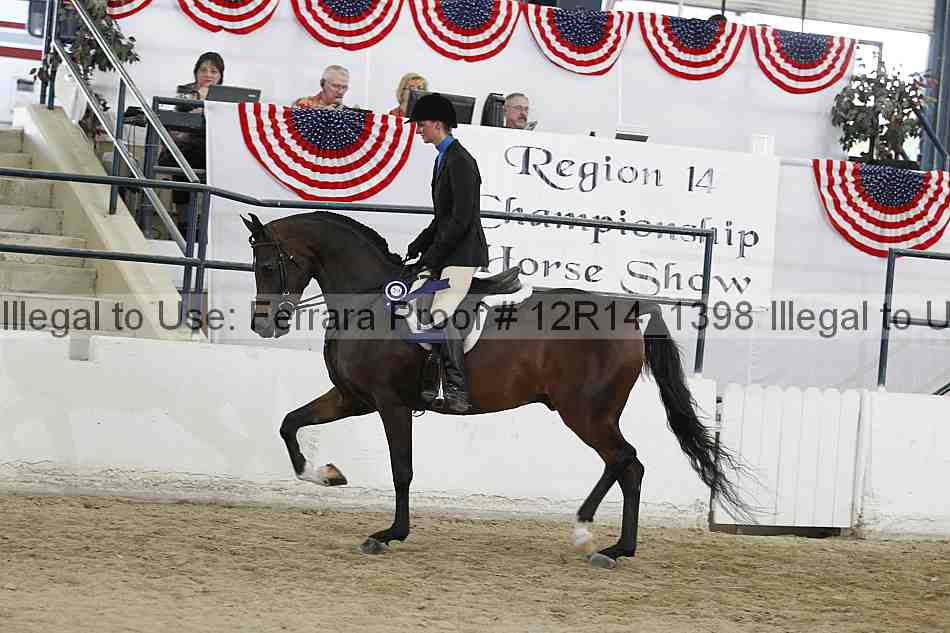 Proof Number 12r14_1398