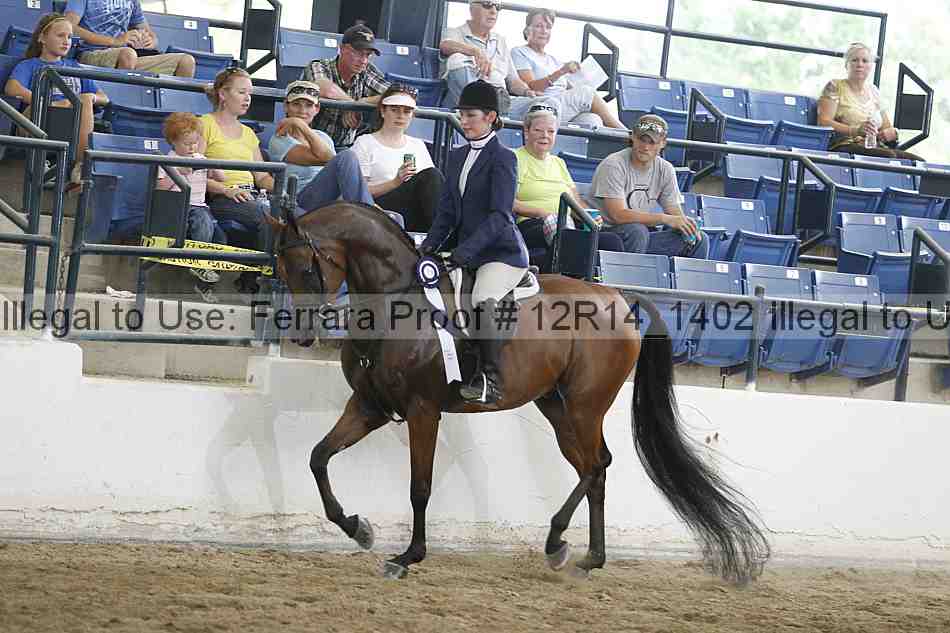Proof Number 12r14_1402