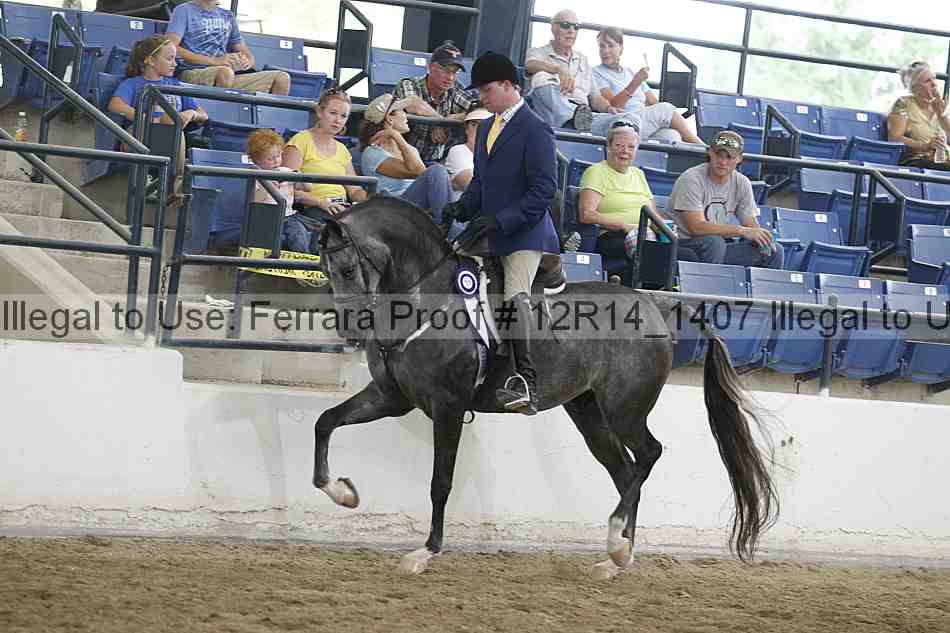 Proof Number 12r14_1407