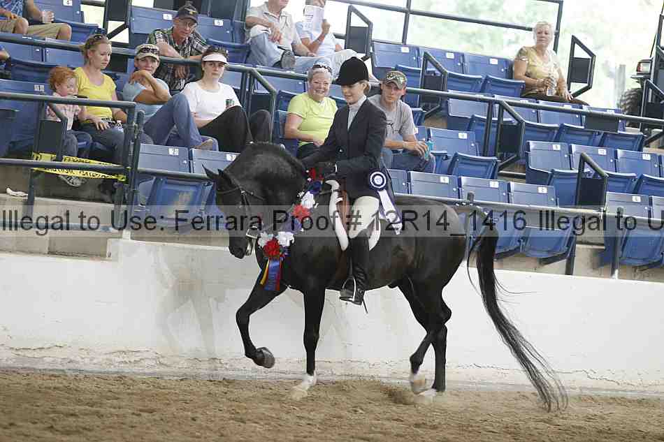 Proof Number 12r14_1416
