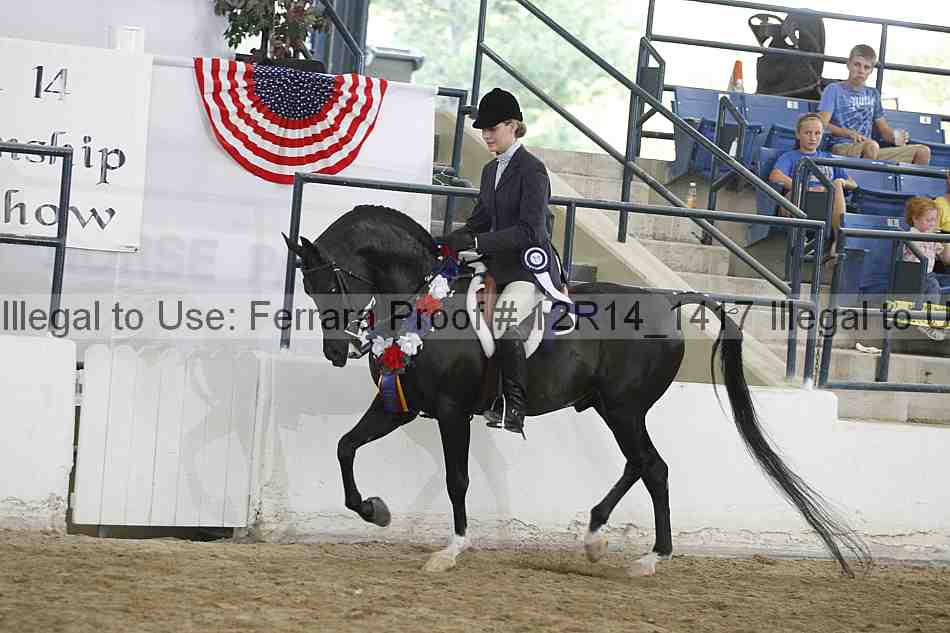Proof Number 12r14_1417