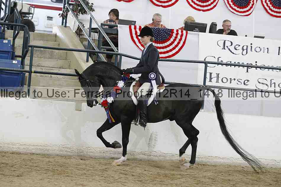 Proof Number 12r14_1418