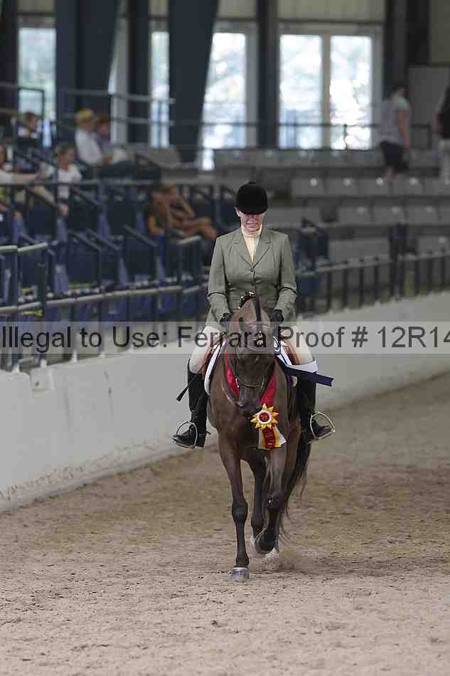 Proof Number 12r14_1419