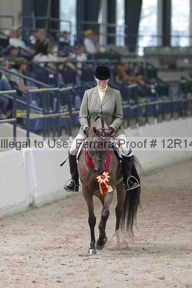 Proof Number 12r14_1420