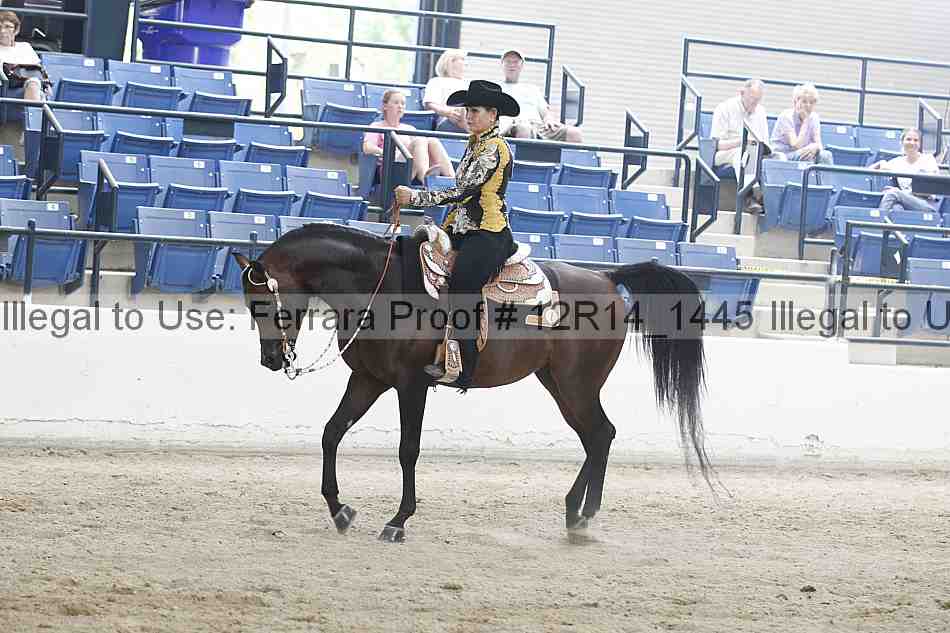 Proof Number 12r14_1445
