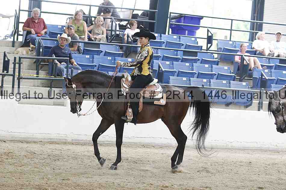 Proof Number 12r14_1446