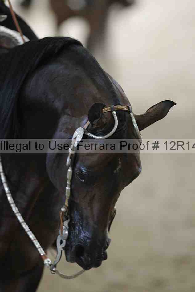 Proof Number 12r14_1457