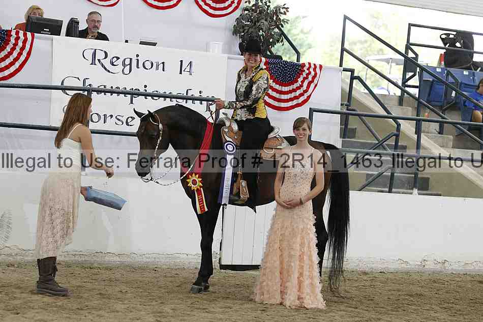 Proof Number 12r14_1463