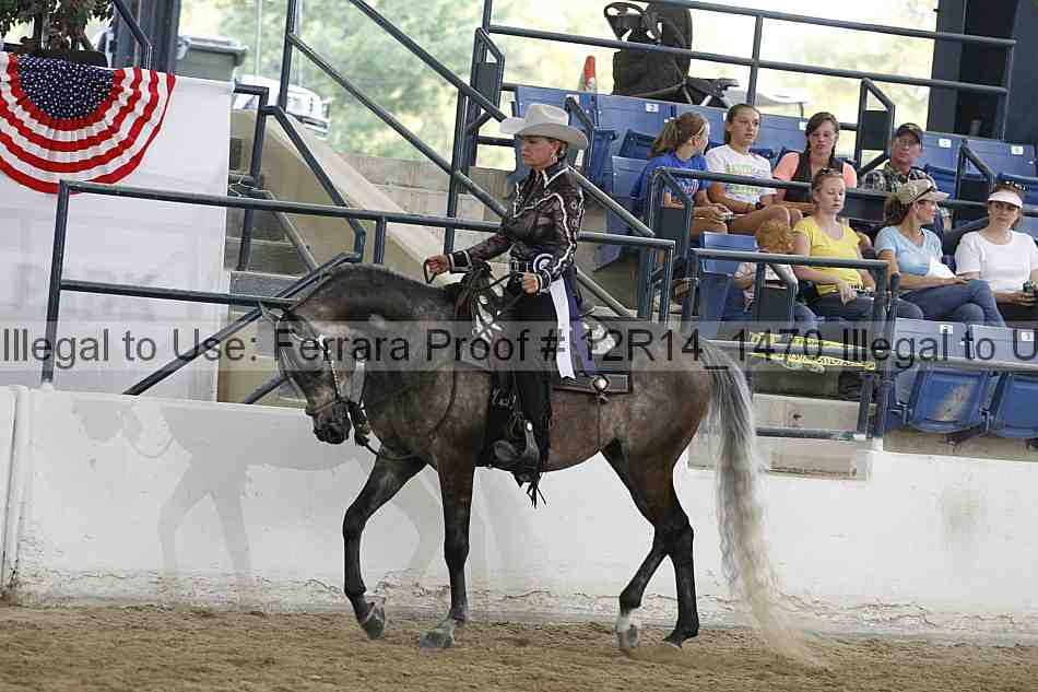 Proof Number 12r14_1470