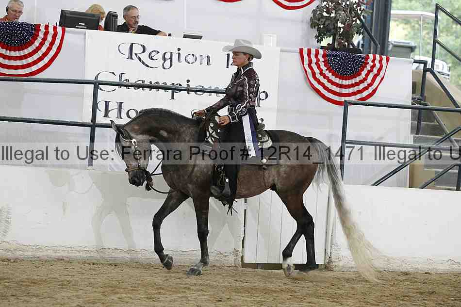 Proof Number 12r14_1471