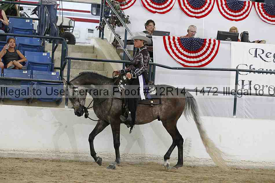 Proof Number 12r14_1472