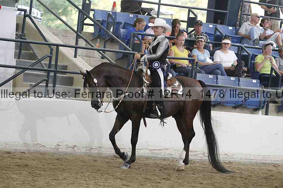 Proof Number 12r14_1478
