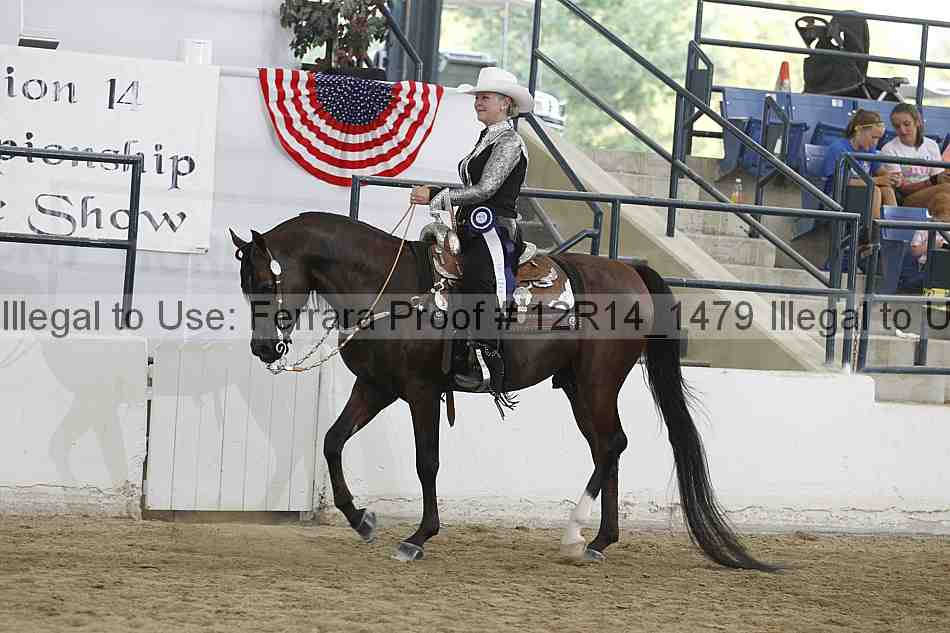 Proof Number 12r14_1479