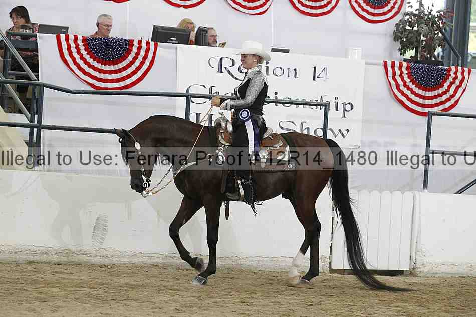 Proof Number 12r14_1480