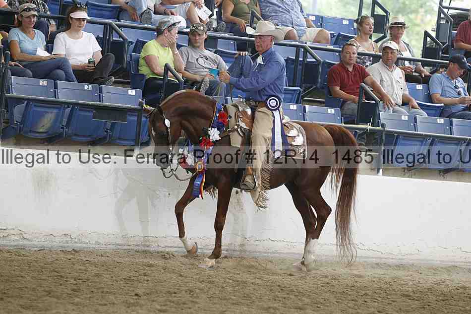 Proof Number 12r14_1485