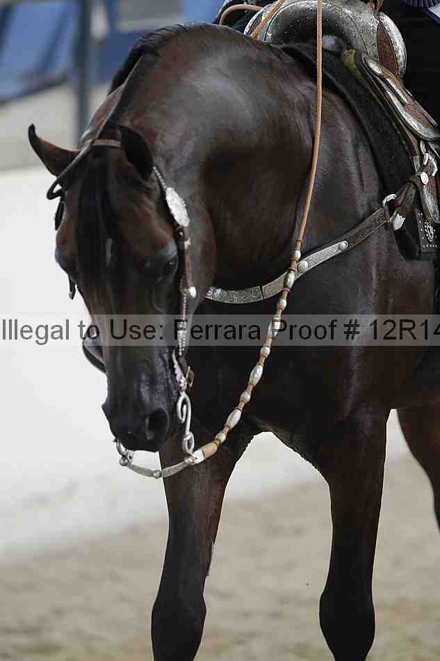 Proof Number 12r14_1488
