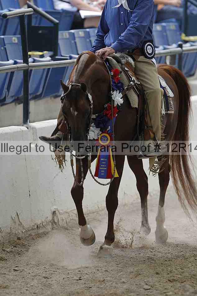 Proof Number 12r14_1496