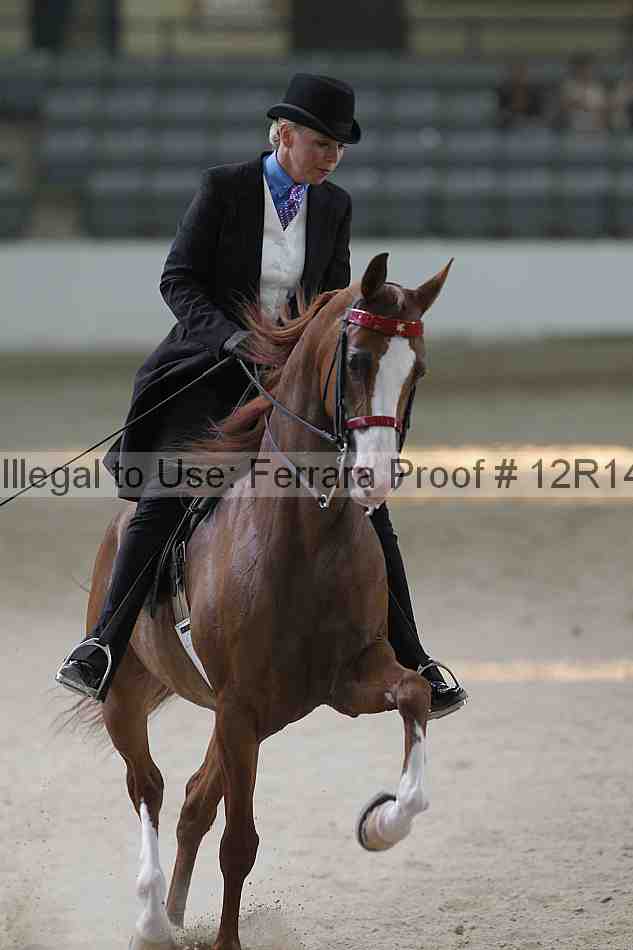 Proof Number 12r14_1511