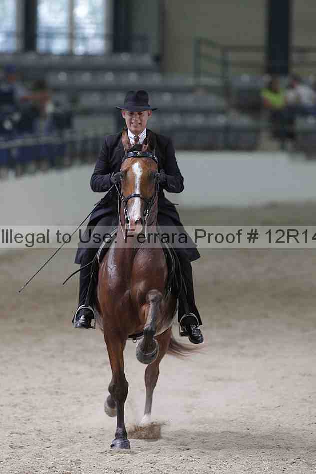 Proof Number 12r14_1522
