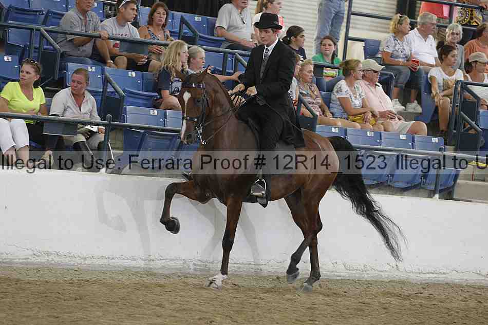 Proof Number 12r14_1523