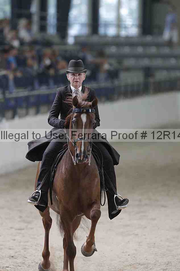 Proof Number 12r14_1525