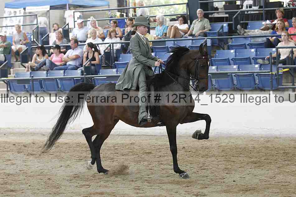 Proof Number 12r14_1529