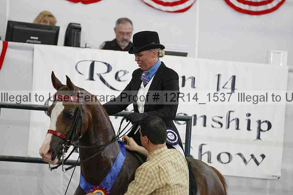 Proof Number 12r14_1537